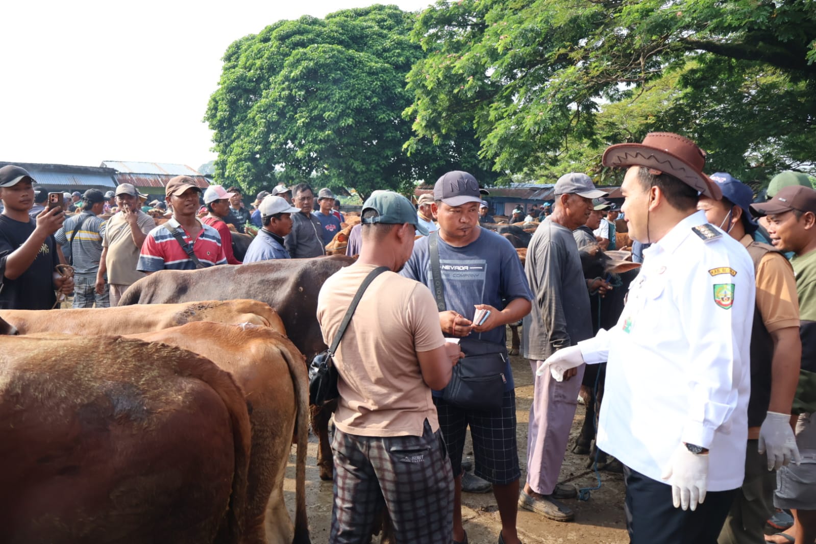 Bupati Blora Sidak Pasar Pon, Pastikan Hewan Kurban Sehat dan Layak Jual