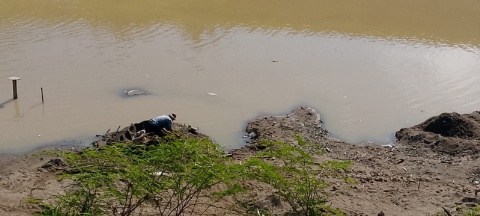 Jaga Kebersihan Sungai Para Penambang Pasir Manual Bersihkan Sampah