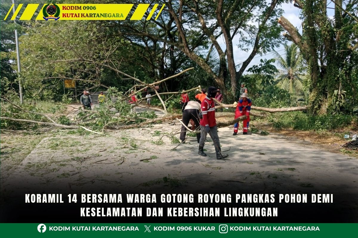 Koramil 14 Bersama Warga Gotong Royong Pangkas Pohon Demi Keselamatan dan Kebersihan Lingkungan