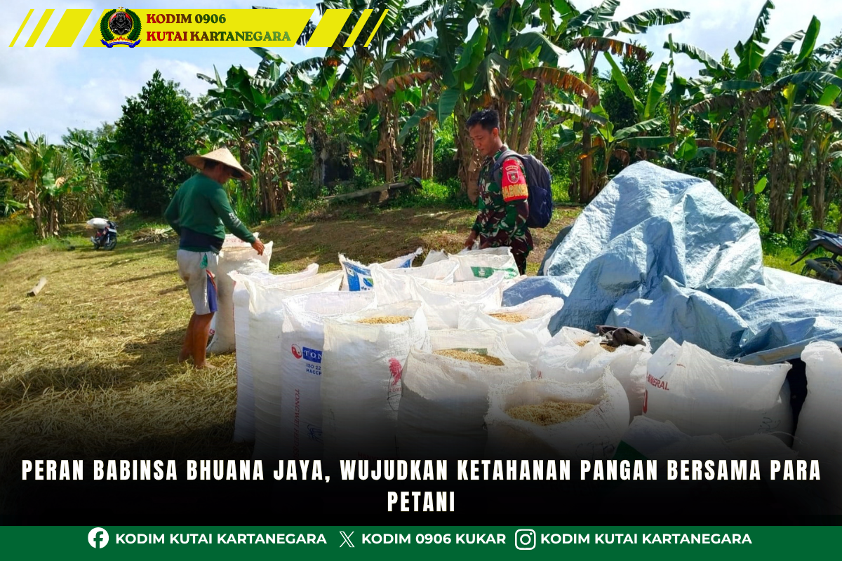 Peran Babinsa Bhuana Jaya, Wujudkan Ketahanan Pangan Bersama Para Petani