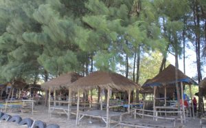 Pantai Balongan, Pantai Dengan Seribu Cemara dan Gazebo