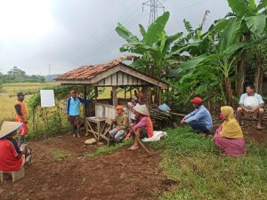 Pokdakan Desa Panembangan Cilongok Lakukan Budidaya Mina Padi